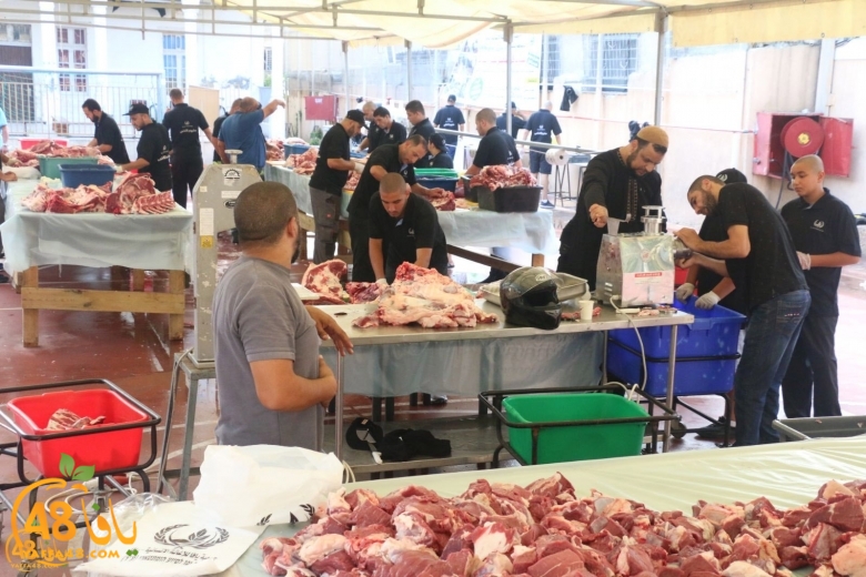 780-520001lo7om jam3iya u3 (1).jpg